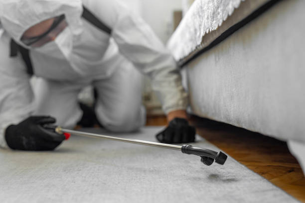 Professional Cockroach Control technician working in La Plata, MO