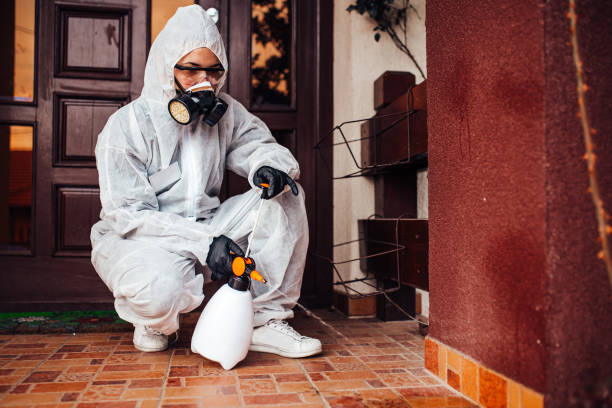 Reliable Cockroach Control contractor in La Plata, MO by Nex Pest Control
